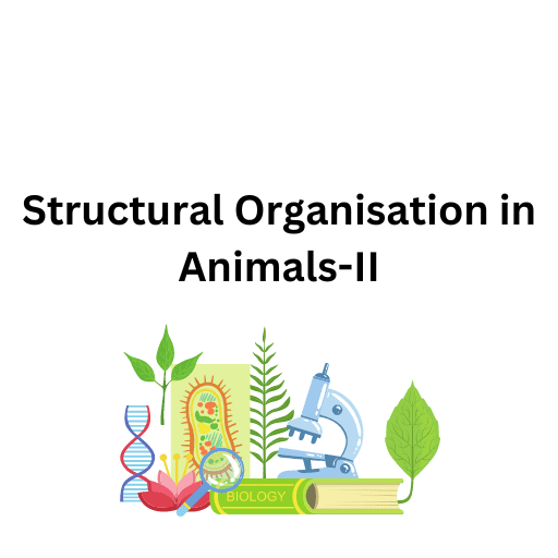 Structural Organsiation in Animals-Il